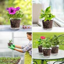 4 Inch Clear Nursery Pots 8 Pack Highly Transparent Plant Pots For Small Indoor Plants With Drainage Holes And Trays Plastic Seedling Starter Planters For Flowers - 3 inch 30 miếng - Xem 7