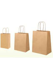 10/30/60/100 个装牛皮纸袋，带提手，三种不同尺寸的散装牛皮纸礼品袋 - 5.25x3.25x8.25 英寸、8x4.5x10 英寸和 10x5x13 英寸，适用于食品零售、派对和生日等场合。 - 彩色 - 查看 6