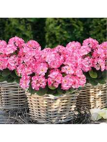 1/80支 - 5枝/1束 - 人造非洲菊丝绸花，仿真植物，适用于家居、户外花园，宝石红色，可用于门廊、家居、花园、室内/室外装饰、花环、婚礼花园装饰 - 粉色 - 查看 3