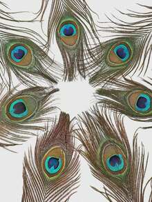 50/25 piezas a granel de plumas de pavo real falsas de alta calidad - Plumas simuladas de lujo elegante bohemio, perfectas para decoración de mesa de boda, relleno de jarrones, accesorios para el hogar, manualidades DIY y adornos navideños para fiestas - Multicolor - Ver 5