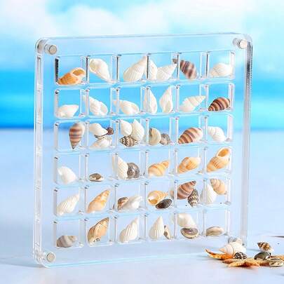 Acrylic Magnetic Shell Display Case - 36-Compartment Organizer For Beads, Nails & Jewelry | Perfect For Halloween & Christmas Decor