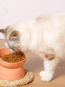 Elevated Slanted Feeder Bowl For Dogs And Cats - 淺粉色 - 查看 7