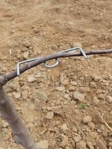 M-Shaped Metal Pruning Shears, Garden Branch Trimmer, Fruit Tree Branch Remover, Gardening Flower Shaping Tool Without Electricity