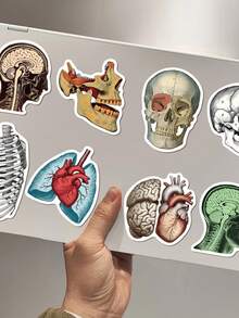 50pcs Vintage Anatomy Science Stickers, Suitable For Laptop, Phone, Skateboard, Helmet, Diary, Scrapbook - Multicolor - View 4