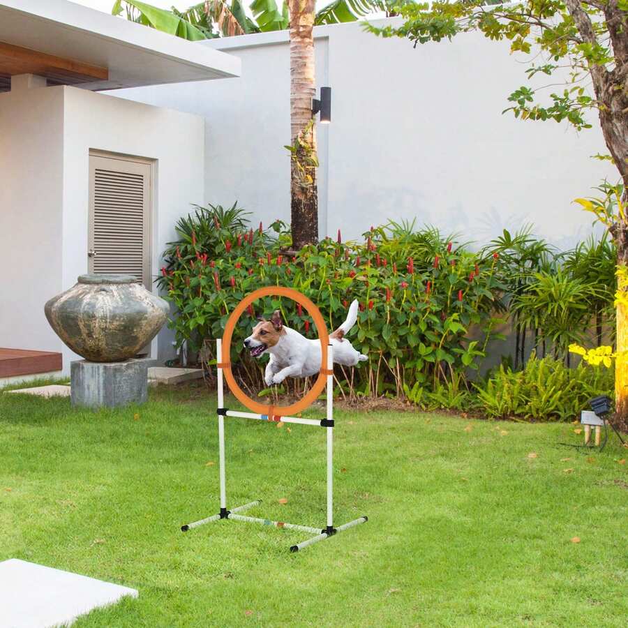 PawHut 2-In-1 Dog Obstacle Training Agility Equipment Tire Jump Ring/Hurdle Bar With A Simple & Easy Setup & Storage Bag - Multicolor - Ver 1