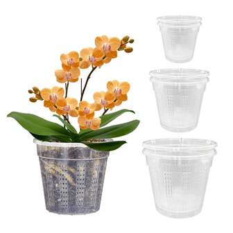 Maceta para orquídeas con agujeros, 4.3", 5.5", 6.1", Macetas para orquídeas para trasplantar, Maceta de plástico para orquídeas, Orquídea transparente, Maceta con ranuras transpirable para orquídeas, Adecuada para plantas de interior y exterior, Maceta para orquídeas para la salud de las raíces.
