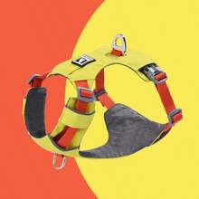 Harnais pour chien, harnais rembourré doux et réfléchissant pour tous les jours avec double attache de laisse, ajustable et léger, adapté pour le dressage ou la promenade pour tous les chiens, vert pierre de rivière - Multicolore - Voir 12