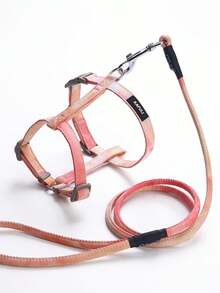 可调节渐变色宠物猫牵引绳套装，小型犬胸背带 - 彩色 - 查看 16