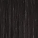 S1B