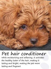 YEGBONG 宠物免洗三件套 - 宠物免洗精华液，日常温和清洁猫狗毛发，留下怡人清香，无需冲洗，清洁护理，令毛发蓬松柔顺