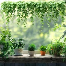 1片春绿树叶窗户静电贴膜玻璃墙贴浴室家居贴纸客厅卧室儿童房墙贴门墙贴电视沙发背景墙装饰 - 彩色 - 查看 8