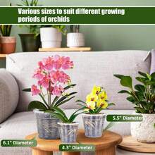 Orchid Pot With Holes, 4.3", 5.5", 6.1", Orchid Pots For Repotting, Plastic Orchid Planter, Clear Orchid, Breathable Slotted Orchids Planter, Suitable For Indoor Outdoor Plants, Orchids Planter For Root Health. - Multicolor - View 2