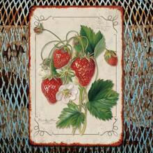 [Retro Appeal] Vintage Strawberry And Floral Metal Tin Sign - Rustic Wall Art For Kitchen, Pantry, Bedroom, Or Garden Decor, 8x12 Inches, Garden Decoration | Rustic Decor | Detailed Illustration, Kitchen Wall Decor, 2D, Perfect For Room Decor - Multicolor - View 6