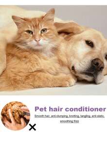 YEGBONG 宠物免洗三件套 - 宠物免洗精华液，日常温和清洁猫狗毛发，留下怡人清香，无需冲洗，清洁护理，令毛发蓬松柔顺