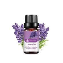 Tinh dầu nguyên chất dùng để khuếch tán, chăm sóc da, thư giãn, yoga và thiền định, chăm sóc nhà cửa, hương thơm làm nến và xà phòng, hương thơm, liệu pháp hương thơm, máy tạo độ ẩm, quà tặng, nhà cửa, làm thơm phòng, giặt ủi, 100% tự nhiên, 10ml, (trầm hương, gỗ đàn hương, bạc hà, tràm trà, cam, sả, oải hương, sả, hổ phách, cà phê, quýt, đại dương, lan Nam Phi) - nhiều mùi hương - Xem 8