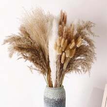 de Pampas Decorativas, Colas de Conejo de Hierba Natural, Plantas Secas para Decoración de Jarrones y Ramos, Varios Tonos - 1 - Ver 7