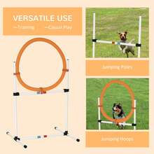PawHut 2-In-1 Dog Obstacle Training Agility Equipment Tire Jump Ring/Hurdle Bar With A Simple & Easy Setup & Storage Bag - Multicolor - Ver 6