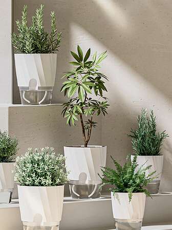 3个装自吸水花盆 - 现代几何树脂花盆，室内懒人花盆，透明自吸水设计，适用于兰花、绿植和水培植物，易于打理的桌面花盆