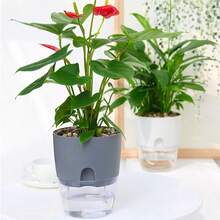 Chậu hoa tự tưới, Chậu trồng cây bằng nhựa hình người nằm dài, Chậu hoa hai lớp trong suốt, Chậu trồng cây mọng nước - Nhiều màu - Xem 3