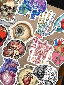 50pcs Vintage Anatomy Science Stickers, Suitable For Laptop, Phone, Skateboard, Helmet, Diary, Scrapbook - Multicolor - View 1