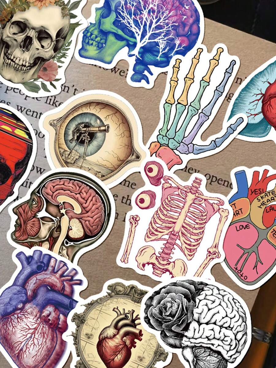 50pcs Vintage Anatomy Science Stickers, Suitable For Laptop, Phone, Skateboard, Helmet, Diary, Scrapbook - Multicolor - View 1
