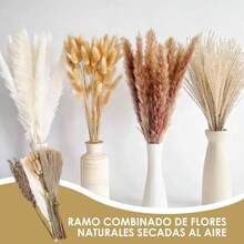 de Pampas Decorativas, Colas de Conejo de Hierba Natural, Plantas Secas para Decoración de Jarrones y Ramos, Varios Tonos - 1 - Ver 4