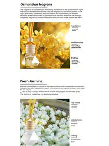 1 件 8ml 车载无焰香薰精油扩散器持久淡香吊坠汽车空气清新剂悬挂式，可爱车载空气扩散器，持久车用家用空气清新剂，男女通用汽车清新剂，去除异味持久留香情人节用品婚礼用品 - 彩色 - 查看 31