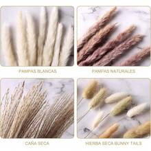 de Pampas Decorativas, Colas de Conejo de Hierba Natural, Plantas Secas para Decoración de Jarrones y Ramos, Varios Tonos - 1 - Ver 5