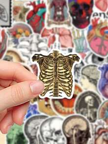 50pcs Vintage Anatomy Science Stickers, Suitable For Laptop, Phone, Skateboard, Helmet, Diary, Scrapbook - Multicolor - View 5