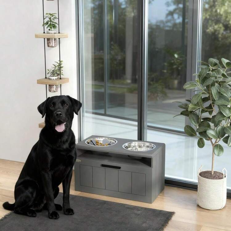 Elevated Dog Bowls With 2 Stainless Steel Bowls - Naturligt + Trä - Visa 2