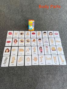 1套/36张，儿童认知卡片，身体部位，水果双面闪卡，随机婴儿早教玩具，幼儿园学前班礼物 - 黃色 - 查看 10