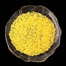 1000pcs/2000pcs Mini Fuse Beads, Refill Beads, Pixel Beads, Perler Beads Material Pack For DIY Crafts, Gifts, Holiday Presents - Multicolor - View 7