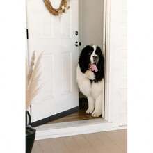 Under Door Draft Stopper 32 Inch For Huge Gap Up To 2 Inch Draft Blocker For Bottom Of Door 27-35 Inch Seal Insulat... - Gap 0 27-35 & Quot; - View 13