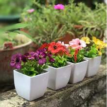 6件套迷你仿真盆栽植物套装 - 塑料假盆景，适合家居、办公室、户外装饰，是父亲节、母亲节、毕业典礼、康复礼物及各种场合的理想之选。