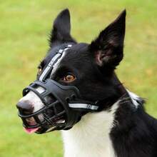 1 pieza Bozal ajustable para perros con diseño de cinturón reflectante, anti-mordedura, anti-ladrido y anti-alimentación, máscara protectora universal para mascotas