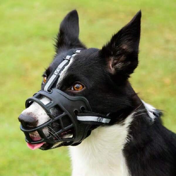 1 قطعة قناع للكلاب قابل للتعديل، مانع للعض والنباح والأكل، تصميم حزام عاكس للحيوانات الأليفة، عالمي الاستخدام