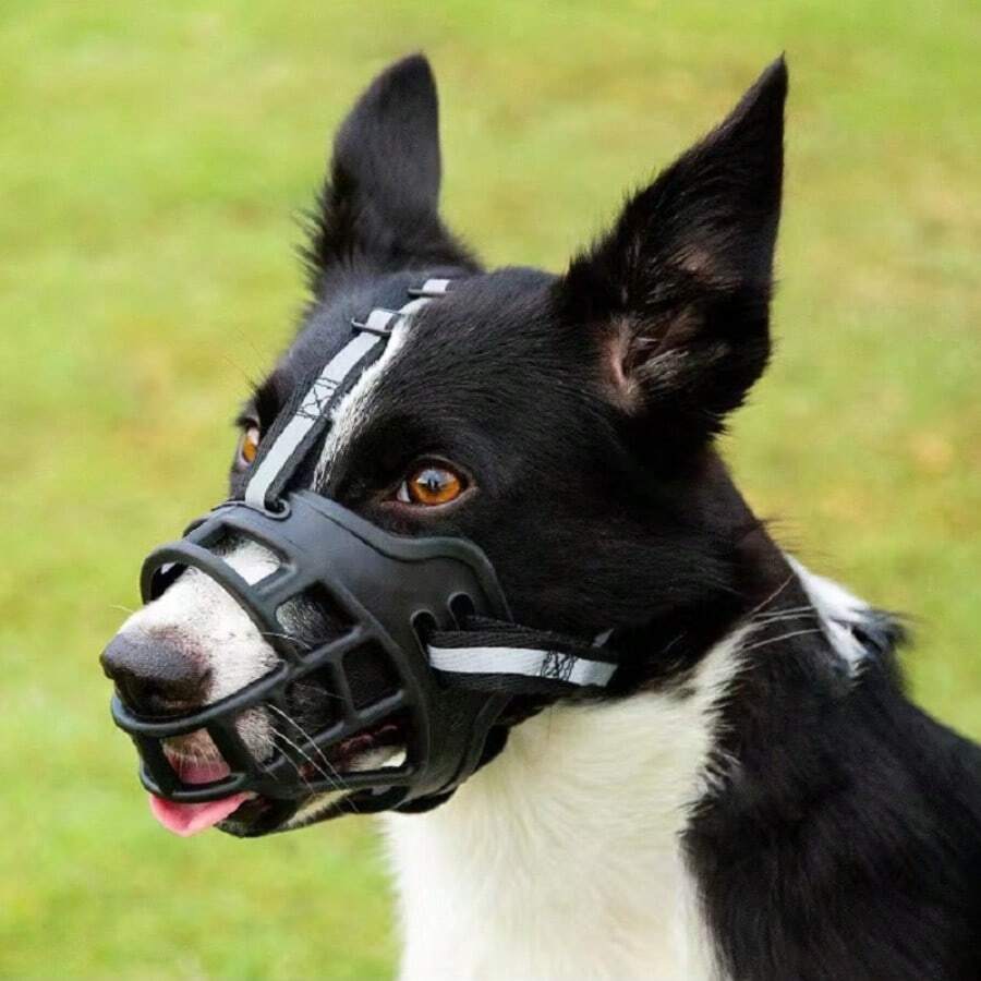 1 pieza Bozal ajustable para perros con diseño de cinturón reflectante, anti-mordedura, anti-ladrido y anti-alimentación, máscara protectora universal para mascotas