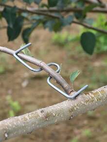 M-Shaped Metal Pruning Shears, Garden Branch Trimmer, Fruit Tree Branch Remover, Gardening Flower Shaping Tool Without Electricity