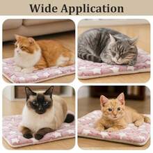 1pc Comfortable Plush Pet Mat, Universal For All Seasons, Machine Washable,Can Be Used As A Cover Or Cushion, Suitable For Small Pets Such As Rabbits, Kittens, Squirrels, Hedgehogs, Hamsters, Etc., Pet Mattresses, Blankets