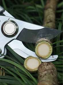 Professional Grade Stainless Steel Pruning Shears With Ergonomic Non-Slip Handles And Precision Ground Blades - 30% Easier Gardening Operations, Suitable For Tree Branches, Flowers - Modern Design, Battery-Free, For Efficient Gardening (Color Randomly Shipped) - Multicolor - View 7