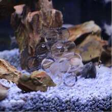 亚克力水族箱装饰套装，鱼虾庇护所，透明仿真，适用于鱼缸 - 3/6/10 件装可选 - 彩色 - 查看 9