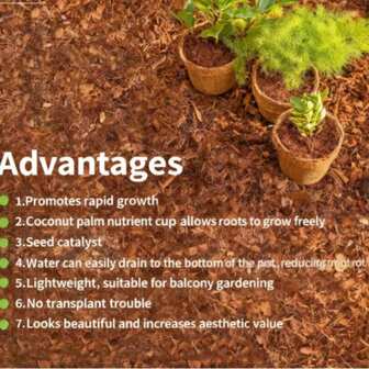 1pc Coconut Fiber Seedling Cup, & Breathable, Coconut Fiber Nursery Pot For Vegetable Planting, Suitable For Seedling Cultivation, Can Be Used On Balcony, Windowsill Or Indoor For Planting Flowers (Like Pothos, Succulents), Herbs (Like Mint, Basil) And Small Vegetables (Like Lettuce, Cherry Tomatoes)