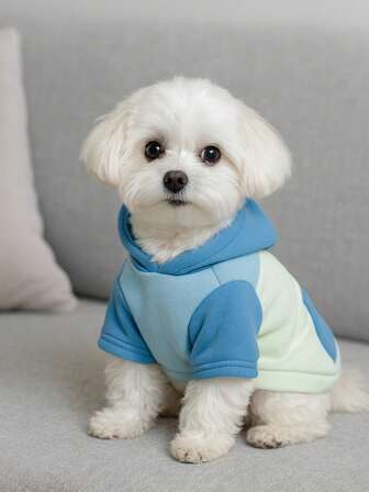 holdhoney 一件可爱又保暖的宠物服装，柔软的涤纶混纺面料狗狗连帽衫，时尚的蓝绿双色拼接设计，可爱的抽绳帽细节和弹性袖口，穿着舒适，防风保暖，让小型犬保持温暖舒适，是马尔济斯犬和类似小型犬的完美套头卫衣。