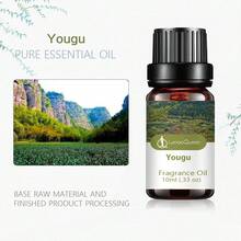 Tinh dầu nguyên chất dùng để khuếch tán, chăm sóc da, thư giãn, yoga và thiền định, chăm sóc nhà cửa, hương thơm làm nến và xà phòng, hương thơm, liệu pháp hương thơm, máy tạo độ ẩm, quà tặng, nhà cửa, làm thơm phòng, giặt ủi, 100% tự nhiên, 10ml, (trầm hương, gỗ đàn hương, bạc hà, tràm trà, cam, sả, oải hương, sả, hổ phách, cà phê, quýt, đại dương, lan Nam Phi) - nhiều mùi hương - Xem 18