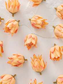 Laranja-rosado - 253