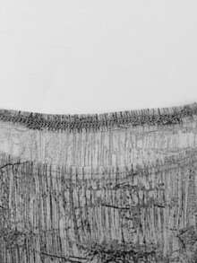 Fall Sexy Brown Top Long Sleeve Mesh Animal Print Flowy Tops Vacation Going Out Outfit For Women - Grey - View 9