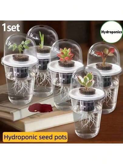 1-Piece Set, Includes 5 Components,Desktop Hydroponic Plastic Transparent Cylinder Ornament - Office Desktop Decoration, High Transparency Ventilated Cup, Allows Observation Of Root Growth, Small Hole Design For Ventilation To Prevent Root Suffocation, Suitable For Hydroponic Seeds, Home Decoration.,Gifts For Colleagues ,Gifts For Travelers,Gifts For Home Office