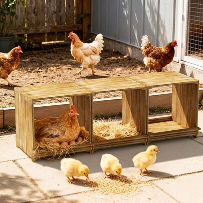 BingoPaw Chicken Nesting Boxes For Chickens Poultry,3 Compartment Solid Pine Wood Nest Box For Coop And Yard Laying Egg