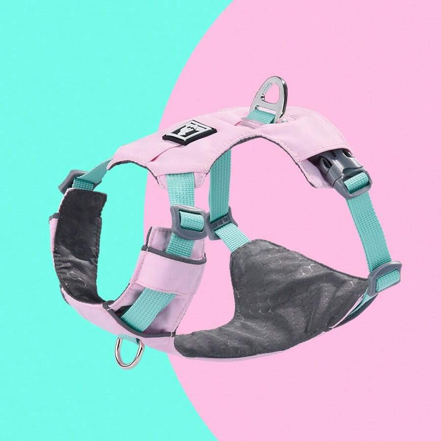 Harnais pour chien, harnais rembourré doux et réfléchissant pour tous les jours avec double attache de laisse, ajustable et léger, adapté pour le dressage ou la promenade pour tous les chiens, vert pierre de rivière - Multicolore - Voir 1