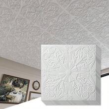 Decorative Ceiling Tile 2x2, Lay In Ceiling Tile 24x24 Pack Of 12pcs Spanish Floral In Matt White - 24"x24" + White - View 2